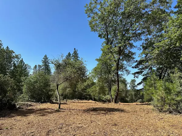 Meadow Vista, CA 95722,Lot 387 E Summit View DR