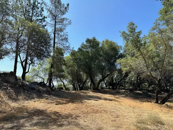 Meadow Vista, CA 95722,Lot 390 Summit View CT