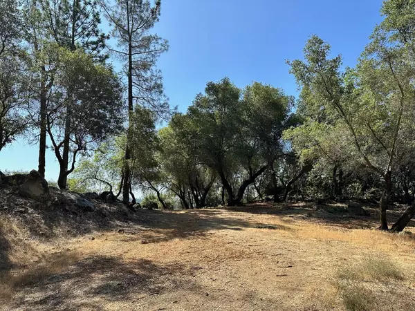 Meadow Vista, CA 95722,Lot 390 Summit View CT