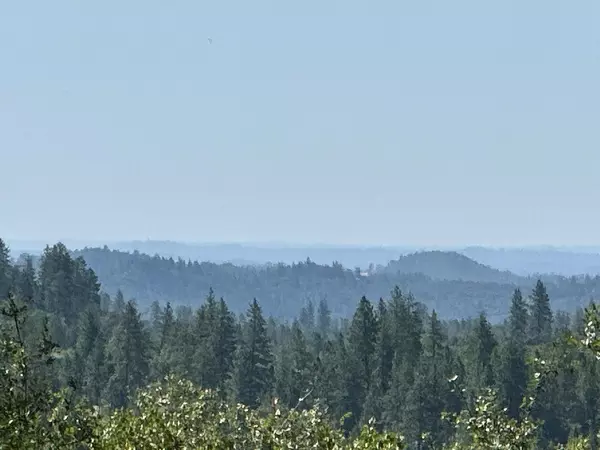 Meadow Vista, CA 95722,Lot 391 Summit View CT