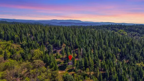 Pioneer, CA 95666,26601 High Trees DR