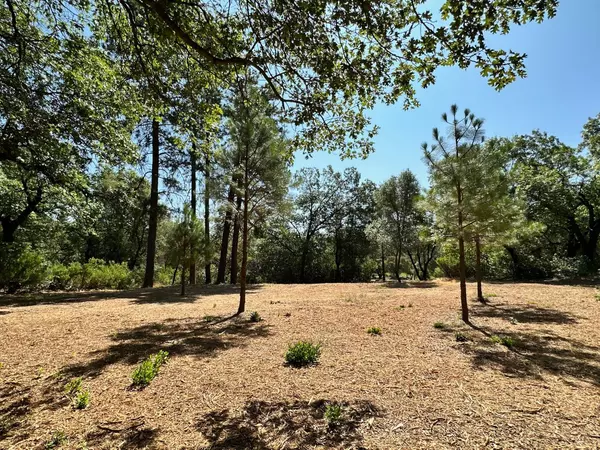 Meadow Vista, CA 95722,Lot 392 Summit View CT
