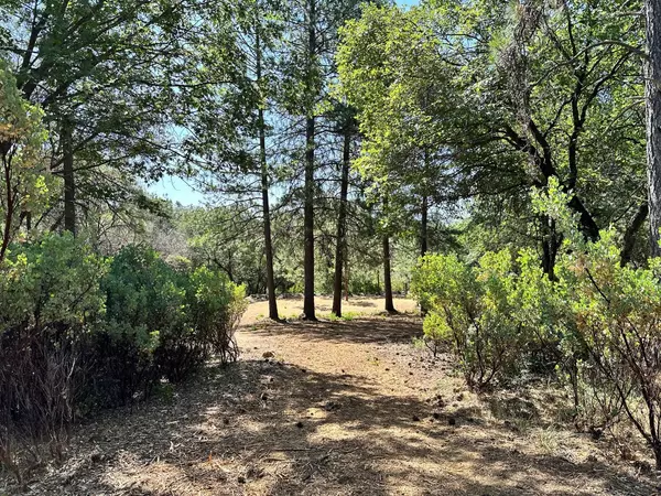 Meadow Vista, CA 95722,Lot 393 E Summit View DR