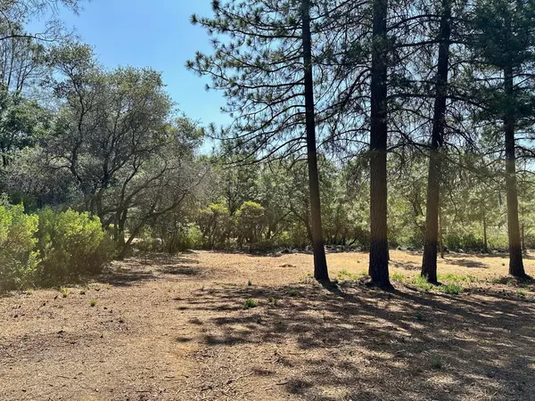 Meadow Vista, CA 95722,Lot 393 E Summit View DR