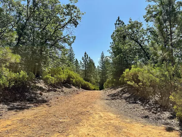 Meadow Vista, CA 95722,Lot 396 E Summit View DR