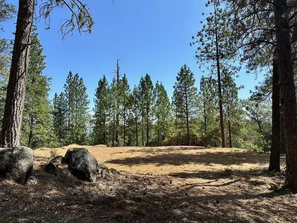 Meadow Vista, CA 95722,Lot 396 E Summit View DR