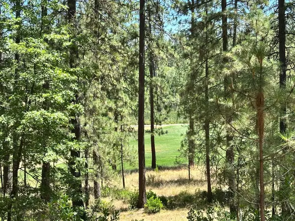 Meadow Vista, CA 95722,Lot 398 E Summit View DR