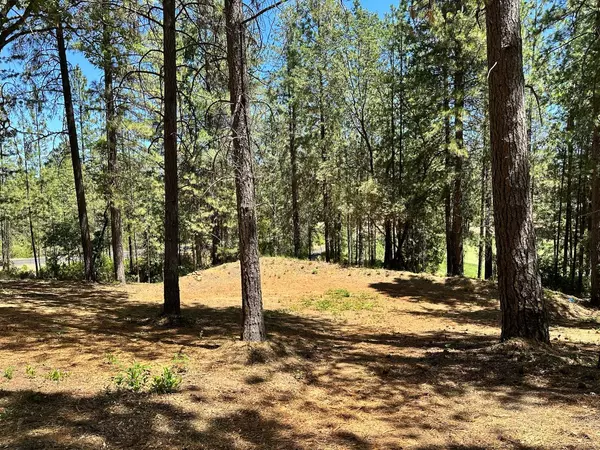 Meadow Vista, CA 95722,Lot 399 E Summit View DR