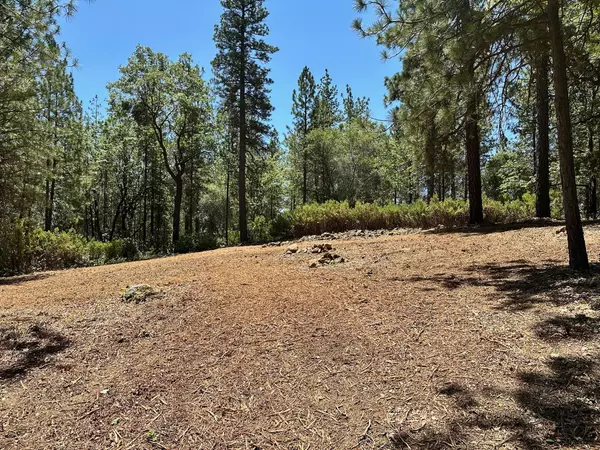 Meadow Vista, CA 95722,Lot 401 Winchester Club DR
