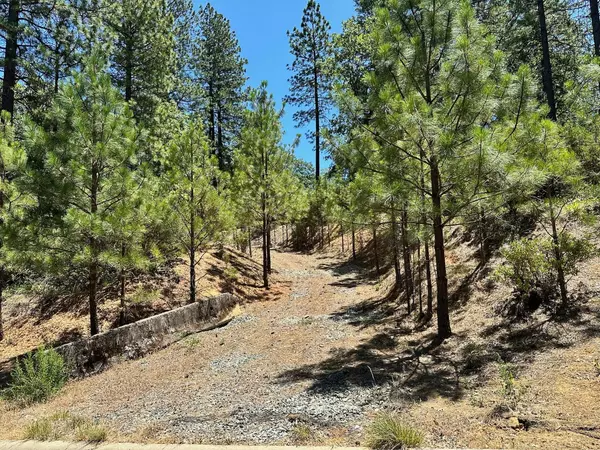 Meadow Vista, CA 95722,Lot 403 Winchester Club DR