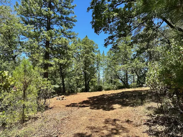 Meadow Vista, CA 95722,Lot 404 E Summit View DR