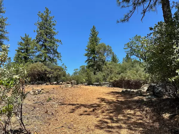 Meadow Vista, CA 95722,Lot 405 E Summit View DR