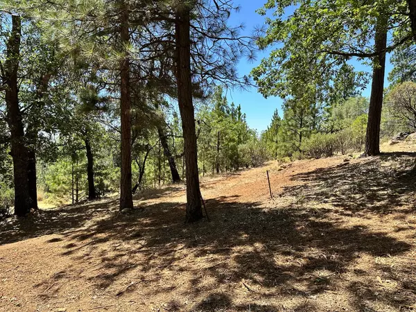 Meadow Vista, CA 95722,Lot 406 E Summit View DR