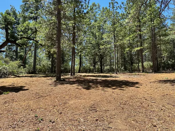 Meadow Vista, CA 95722,Lot 409 E Summit View DR