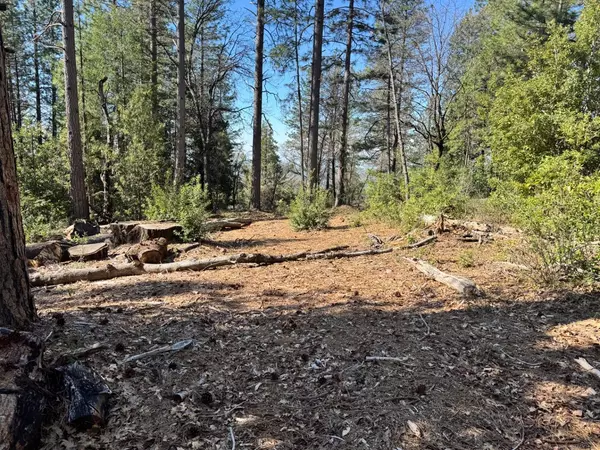 Oroville, CA 95966,18205 Wetmore WAY