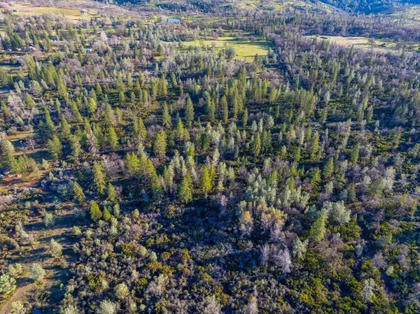 Manton, CA 96059,0 SunnyView Dr