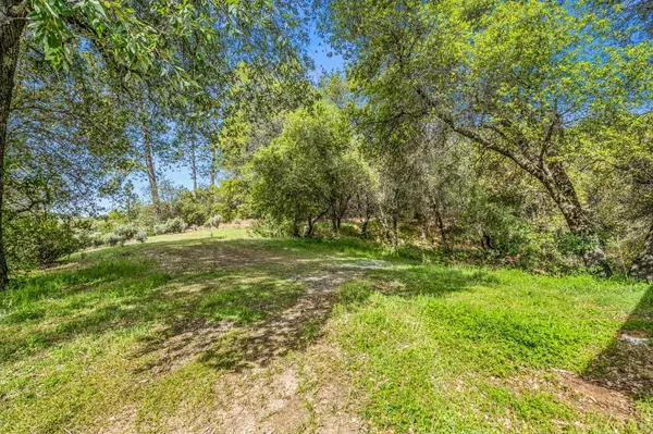 Fiddletown, CA 95629,16315 Mount Whitney DR