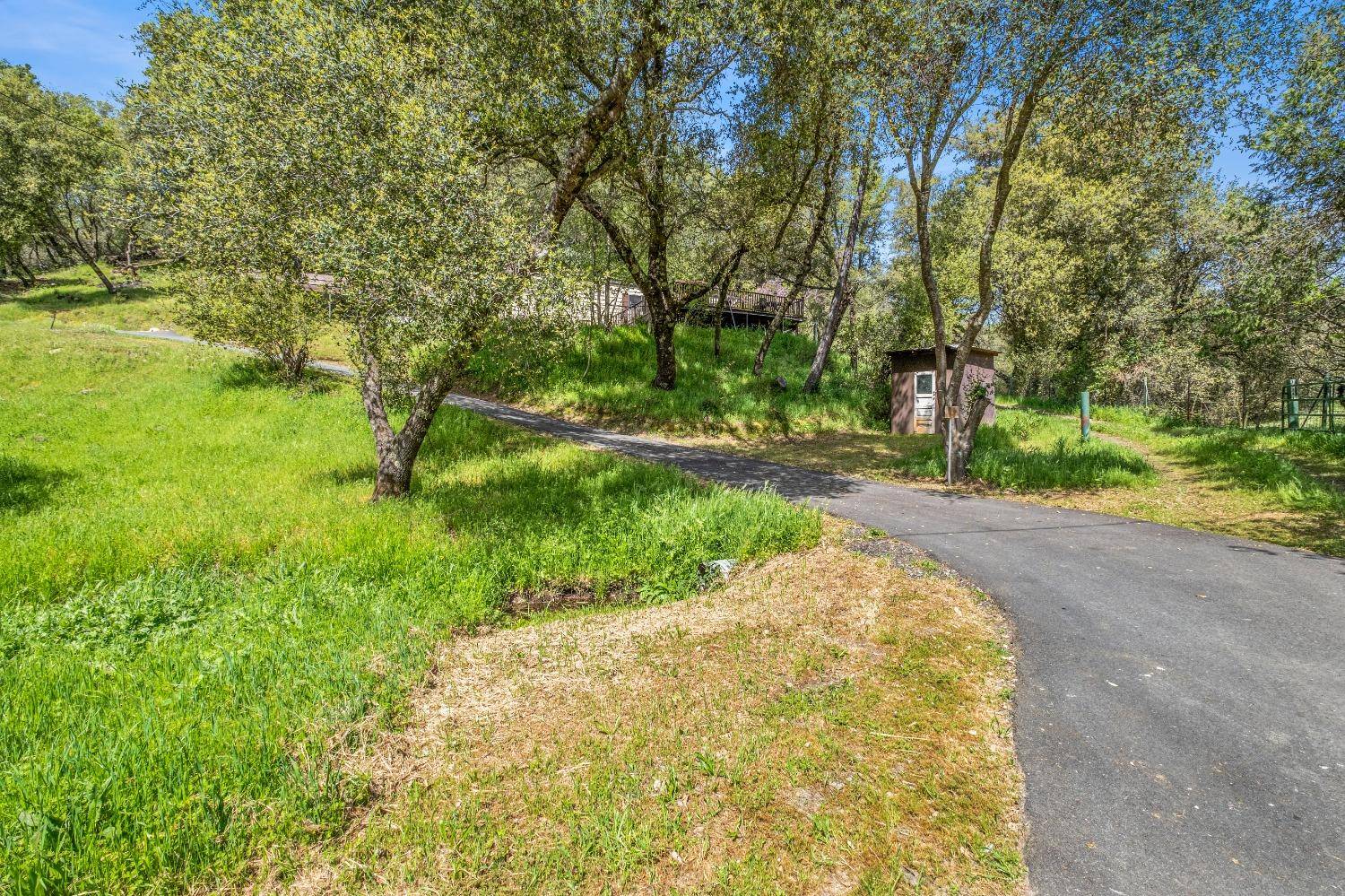 Fiddletown, CA 95629,16315 Mount Whitney DR