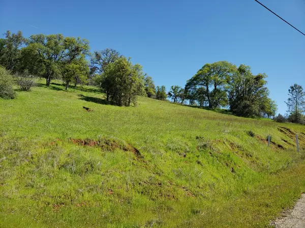 Coulterville, CA 95311,10427 Viloletta WAY