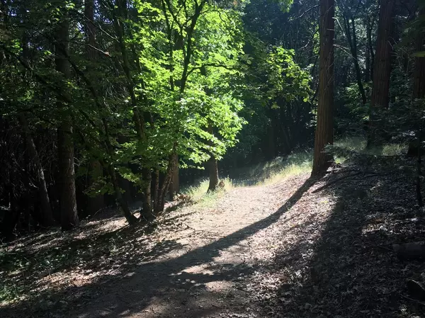 Camino, CA 95709,4681 GLENWOOD DR