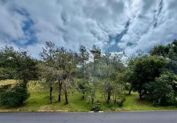 El Dorado Hills, CA 95762,780 Castec WAY