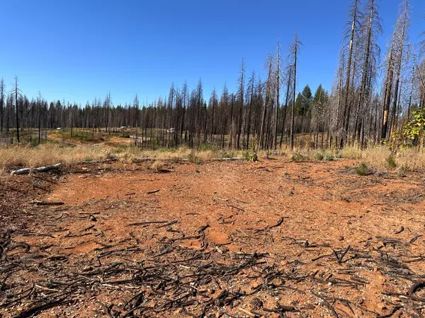 Grizzly Flats, CA 95636,5313 Wooded Glen RD