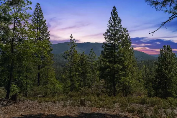 Wilseyville, CA 95257,7250 Mitchell Mill RD