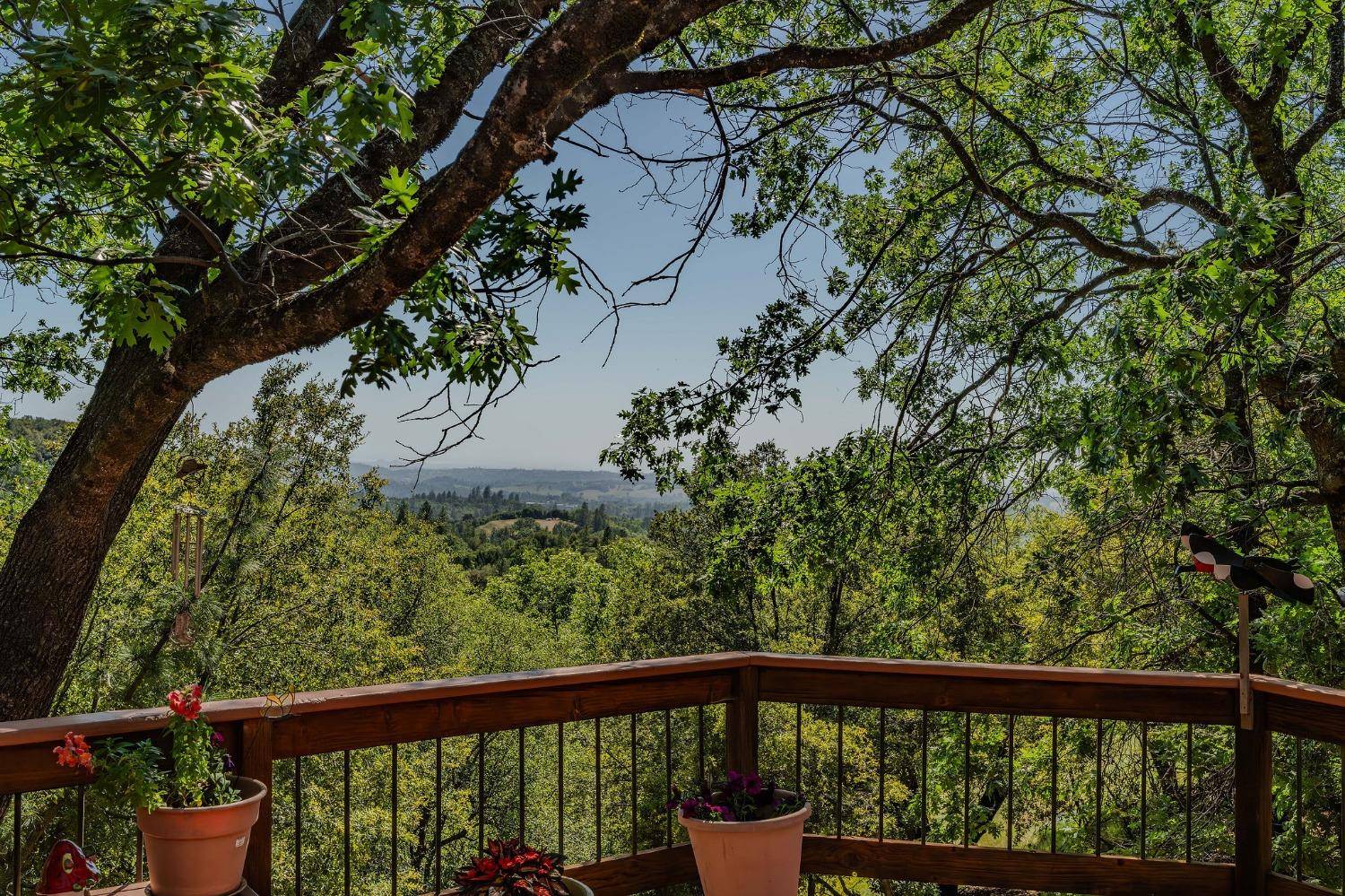 Pine Grove, CA 95665,13771 West CT