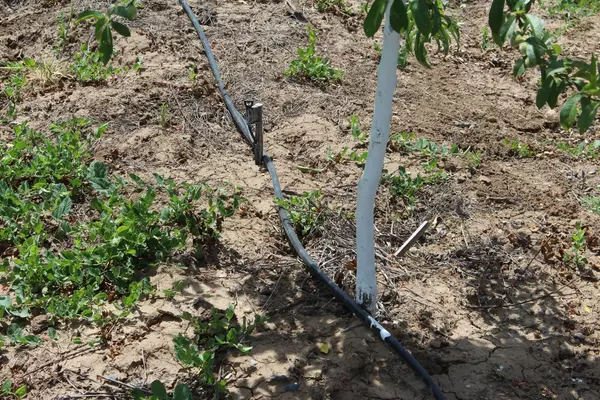 Marysville, CA 95901,9080 State Hwy. 70