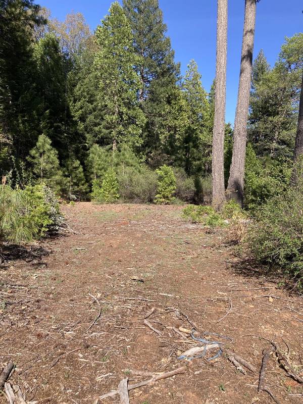 850 Sugar PIne RD, Alta, CA 95701