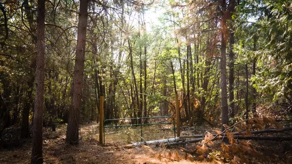 Foresthill, CA 95631,29 Ridge View RD