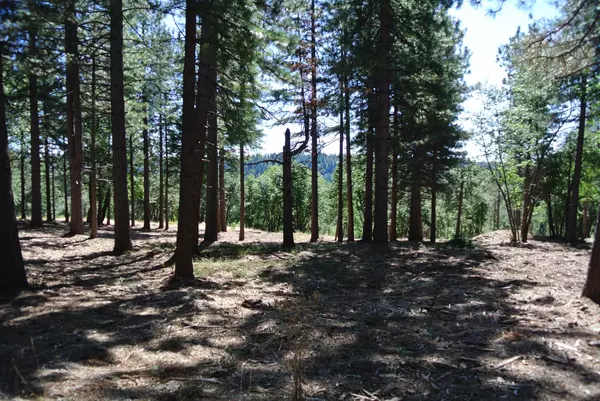 Foresthill, CA 95631,29 Ridge View RD