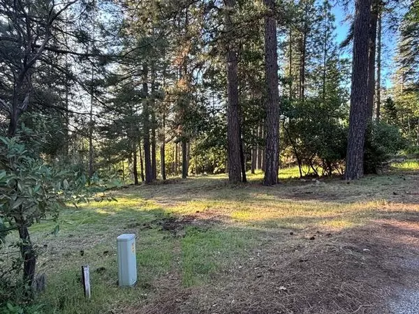 Foresthill, CA 95631,20035 Redwood CT
