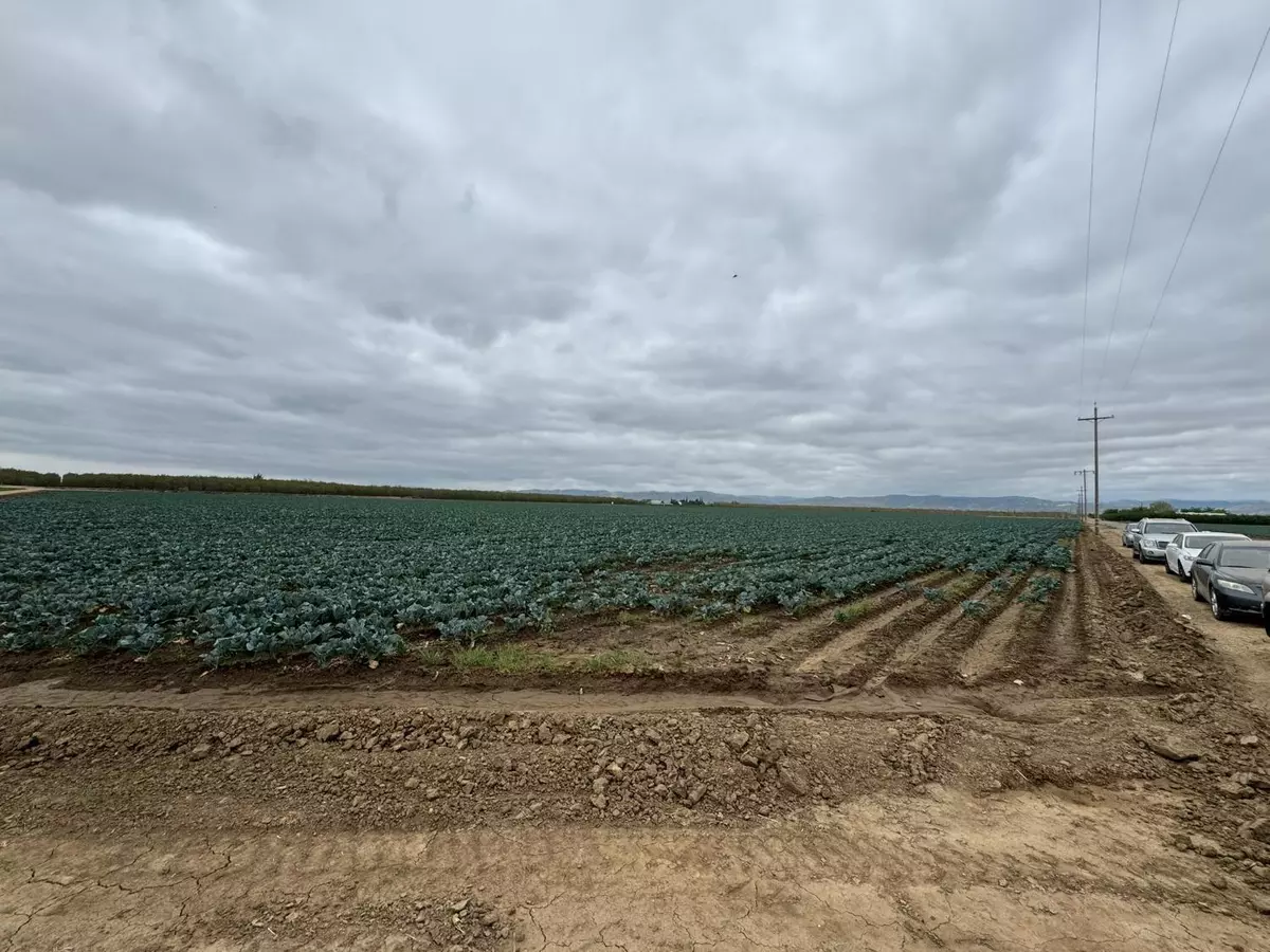Newman, CA 95360,0 Netherton RD