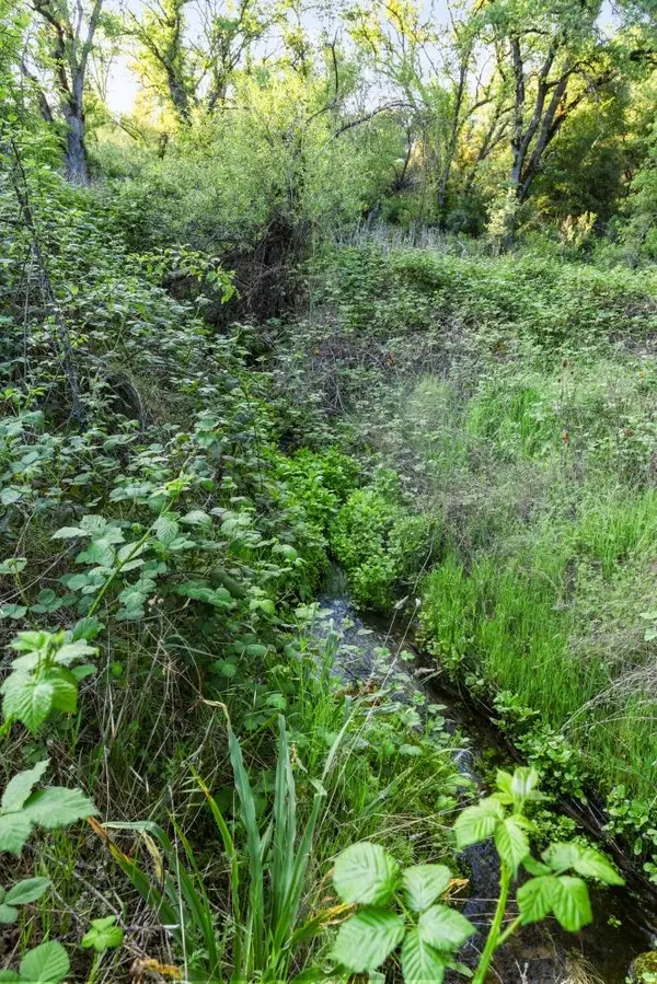 Applegate, CA 95703,0 Roland LN