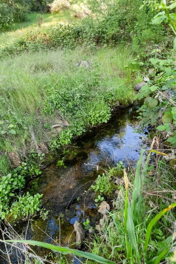 Applegate, CA 95703,0 Roland LN