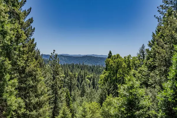 Pioneer, CA 95666,18720 Circle View DR