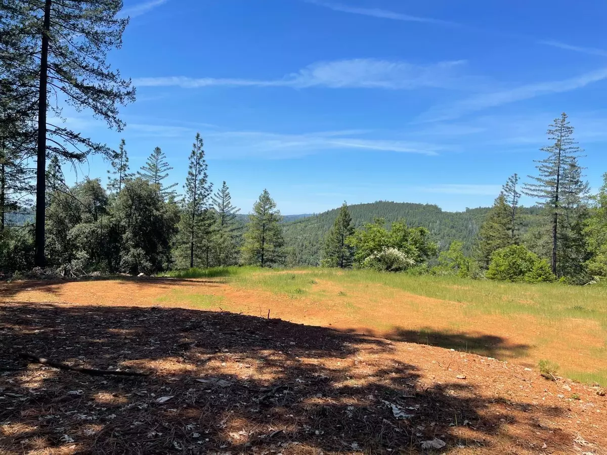 Colfax, CA 95713,0 Kings Hill RD