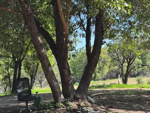 Nevada City, CA 95959,13452 Tyler Foote RD