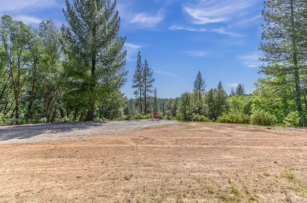 Volcano, CA 95685,15435 Old Giannini Ranch RD