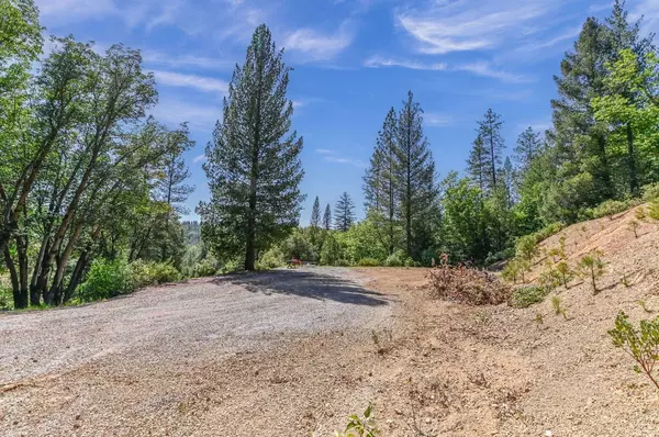 Volcano, CA 95685,15435 Old Giannini Ranch RD