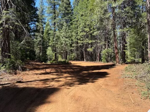 Nevada City, CA 95959,0 Double Rainbow Rd