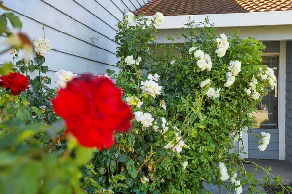 Stockton, CA 95210,1122 Morning Dew PL