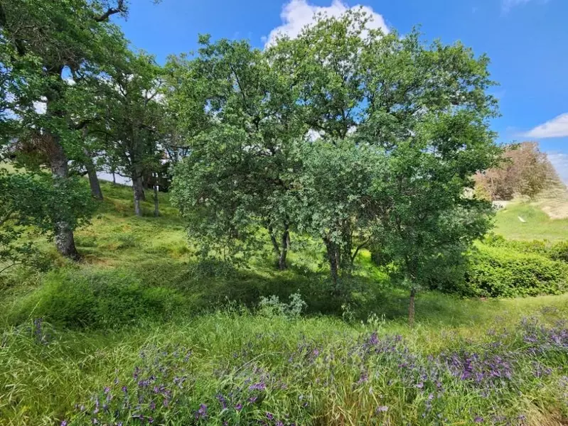 2922 Cascade LN, Valley Springs, CA 95252