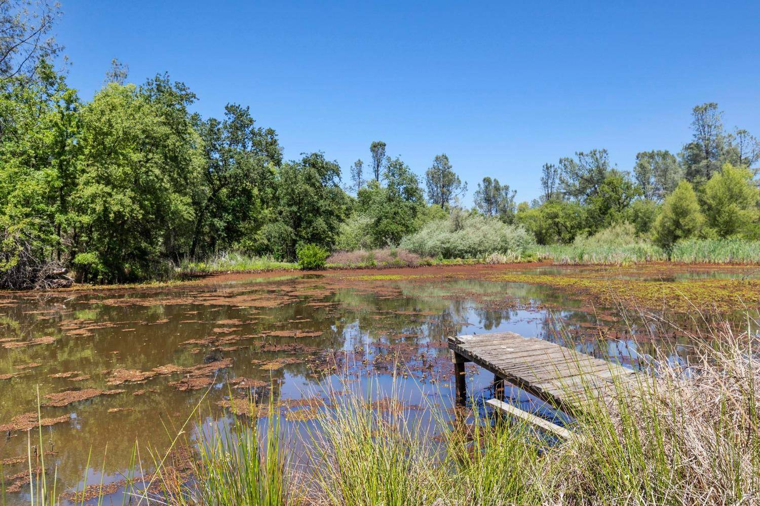 Oroville, CA 95966,2681 Pinecrest RD