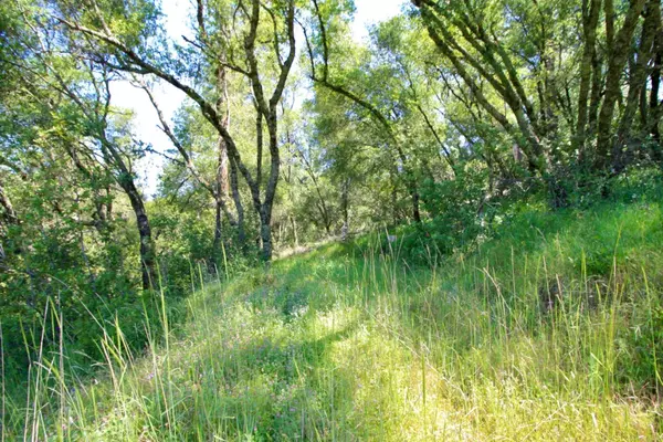 Penn Valley, CA 95946,16970 Southridge DR