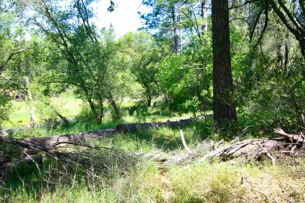 Penn Valley, CA 95946,16970 Southridge DR