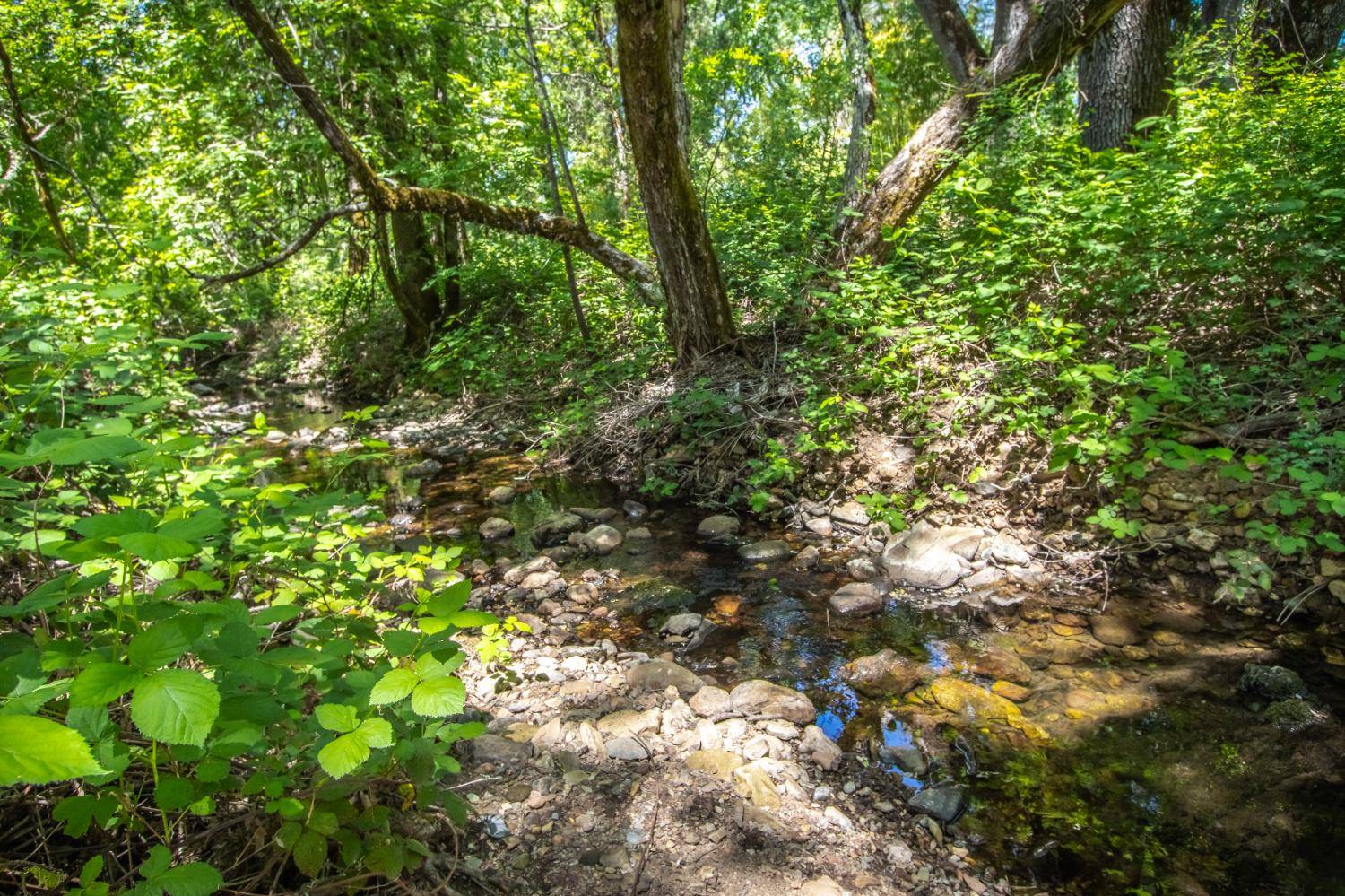 Placerville, CA 95667,4421 Big Cut RD