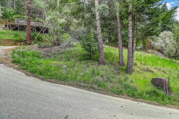 Downieville, CA 95936,118 E. River St.