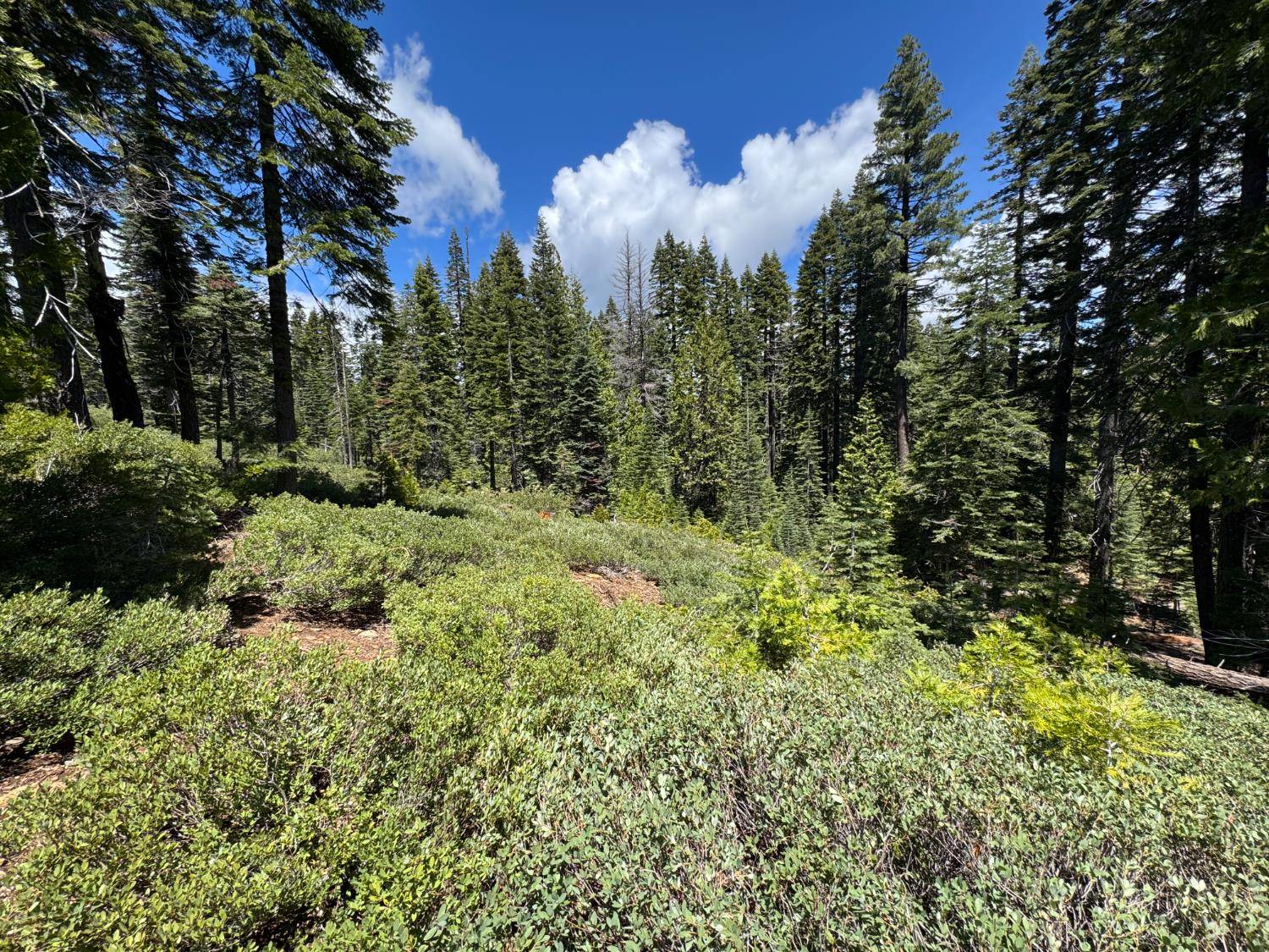 3005 Sprucewood LN, Strawberry Valley, CA 95981